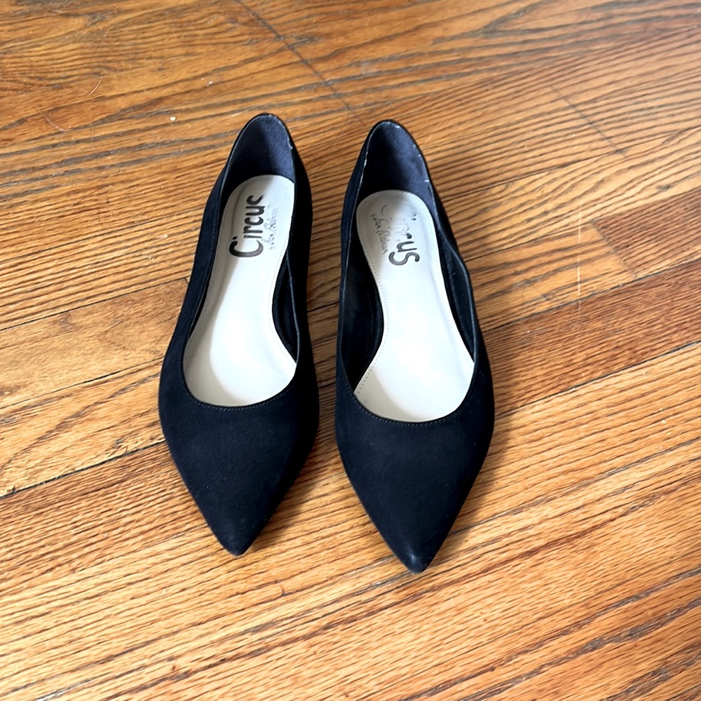 Circus by Sam Edelman - Black Suede Pointed Flats